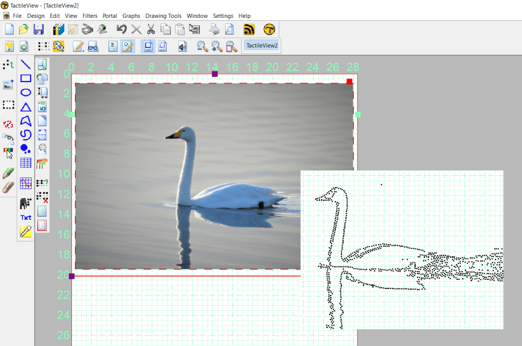screenshot of TactileView where I superposed a picture of a swan and the raised dot image it becomes after image treatment and conversion into dot drawing