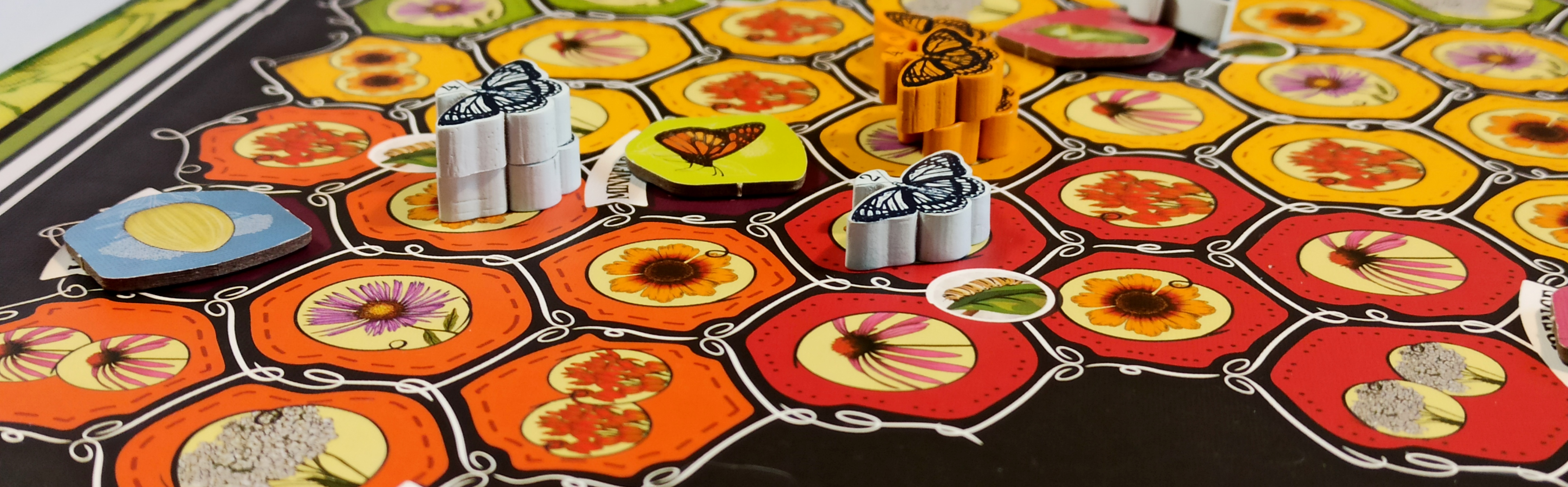 Board Gaming: Connecting, Learning, Enjoying
