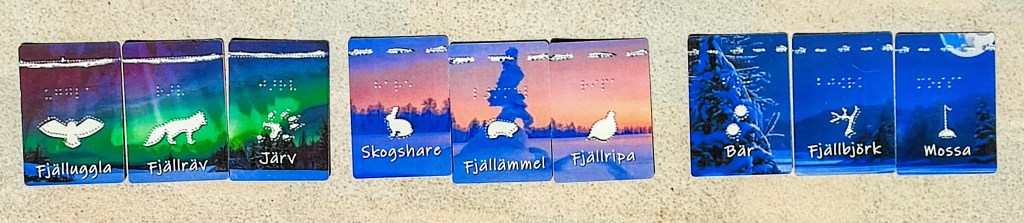 the 9 cards used in the game